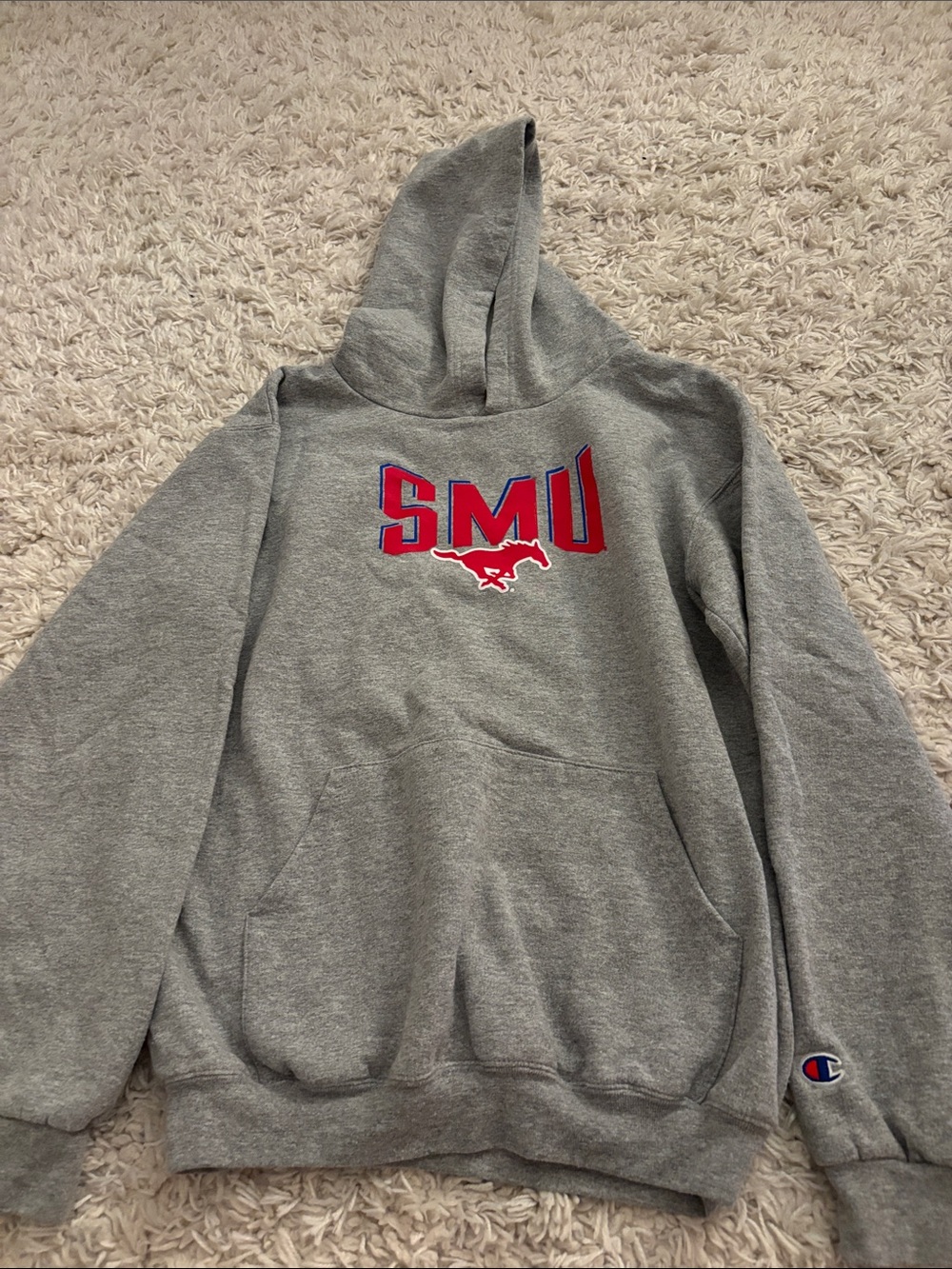 Champion hoodie